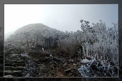 金鸡山景区