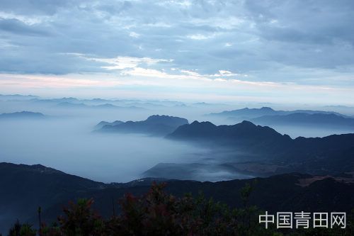 金鸡山雾海胜似仙境-青田网