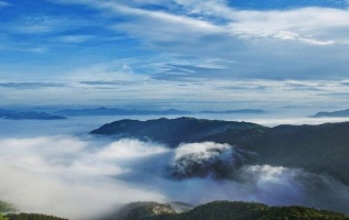 金鸡:金鸡山,青田四都